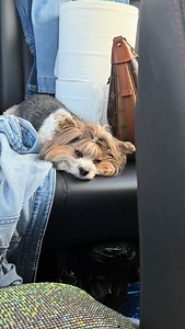 Tammy Hernandez on Reels