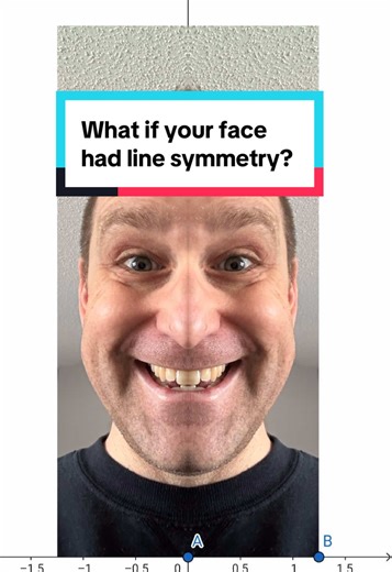 Exploring Line Symmetry with Your Face