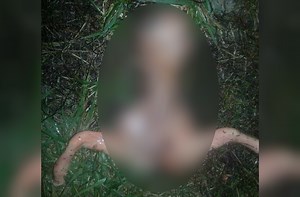 Graphic: Animal Fetus Misrepresented as Dead Alien in California | OutdoorHub