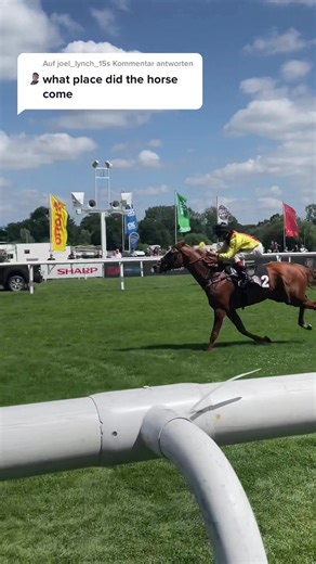 Exciting Horse Race Highlights: Thrilling Competition