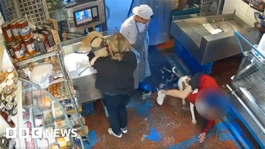 Watch: Moment suspected XL Bully attacks cockapoo