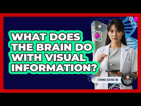 What Does The Brain Do With Visual Information?
