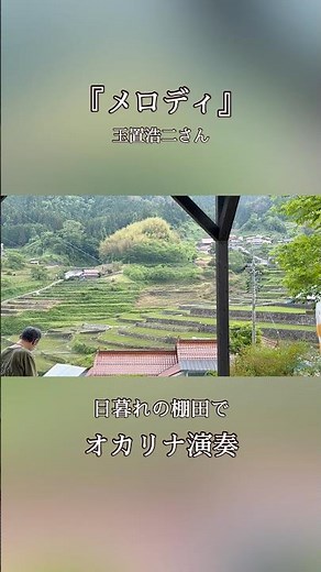『メロディ』 玉置浩二 さん 日暮れの棚田で癒しのオカリナ Nature Sounds Healing Ocarina in Japanese Rice Terraces