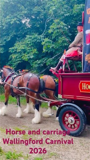 ❤️🦢💔Wallingford Carnival 2026#horse#royal#Wallingford#carnival#culture#traditional#England#Oxford