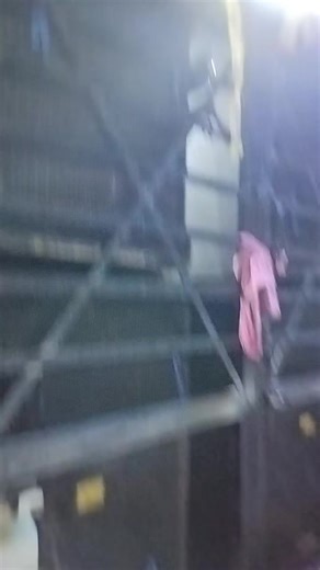 Nikita Tent house and sound system service 😎@U G D NIRAJAN😈👿🤘 @Panjiyar ❣️ tharu🇳🇵🎀🥀 @Sanjok Tharuwa1