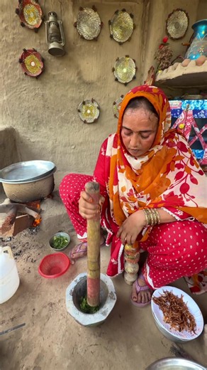 Village Style Desi Chatni Recipe