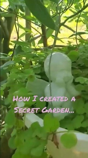 Gardening: How I created a Secret Garden in my yard! #secretgarden #gardening #garden