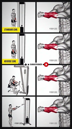 Forearm Workout for Strength & Grip | 10-Minute Arm Power Blast 🔥