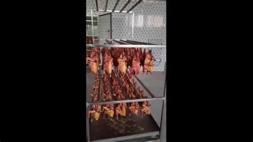 Food Fruit Vegetable Drying Machine Dehydrator Low Temperature Circulating air Heat Pump Dryer Room