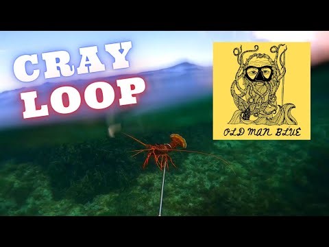 Hunting Crayfish made EASY! Old Man Blue Cray Loops!