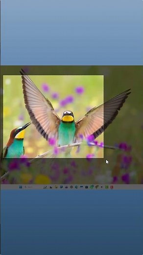 How to Take a Screenshot on PC & Laptop | Windows Shortcut (2026) #shorts #tips