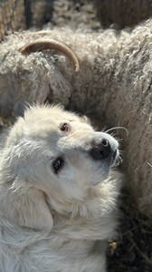 218K views · 13K reactions | One thing I have learned while growing...