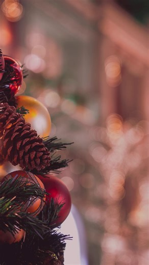 🎄 Merry Christmas from Bertolino Law Firm 🎄 As the year comes to a close, we’re grateful for the professionals who trust us to help them stay informed, prepared, and protected. Knowledge is one of the strongest tools you can carry into the new year, especially when your license, career, and livelihood matter. ❄️🎁 Wishing you a safe, restful holiday season and clarity in the year ahead. Stay informed. Stay proactive. 🎄 ✨ Inspiring You to Engage ✨