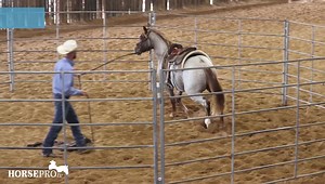 88K views · 1.7K reactions | www.horsepro.tv One of our favorite moments from the 2021 Groundwork series showing exactly what we mean when we say our content is unedited through the entire work, “What’d he eat? A gopher or something?” We invite you to visit the website for full length training videos, quick tips, articles and more and share this video to help us grow our community. | HORSEpro.tv | Facebook