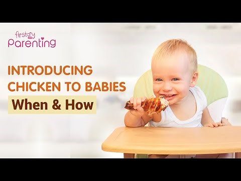 Introducing Chicken to Babies - When and How?