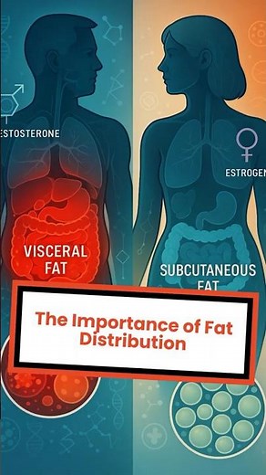 the importance of fat distribution
