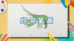 虾简笔画怎么画