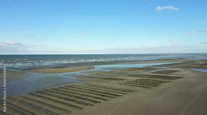 Oyster beds facing the English Channel at Utah beach in Europe, France, Normandy, towards Carentan, in spring, on a sunny day.