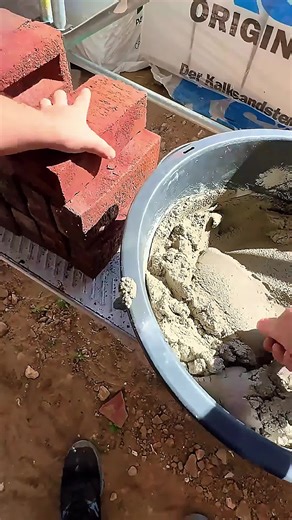 #fly #reddit #tiktok | fly