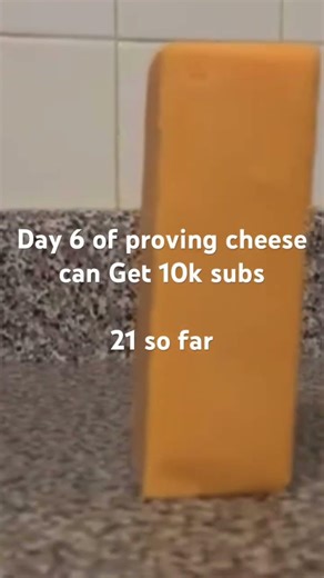 #cheese #meme #funny #fyp #shorts #chessie
