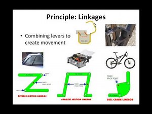11 Scientific Principles VIDEO