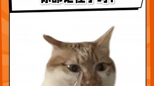 这些离子检验你都学会了吗？