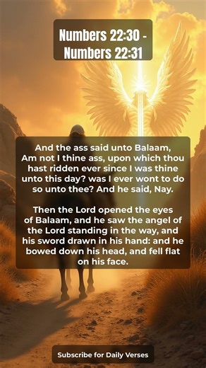 📖 Today's Verses: Numbers 22:30 – Numbers 22:31