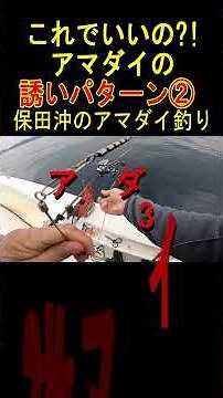 Amadai Fishing: Should you lift or rest the bait? Testing a new method in Hota, Tokyo Bay.