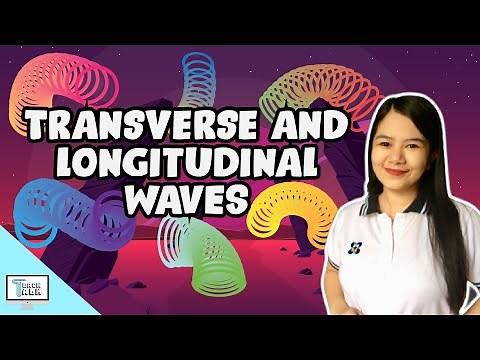 Transverse and Longitudinal Waves | Physics