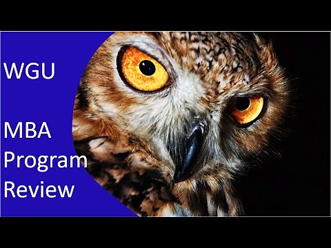 Western Governors University MBA program review 2024. From an MBA graduate.