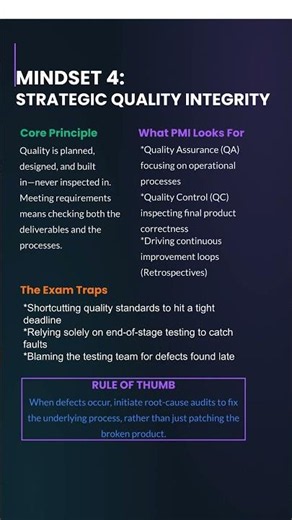 PMP Success Framework - Pillar 2 Process & Governance