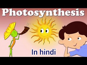 🔴 Photosynthesis for kids in hindi || science Tracker kids