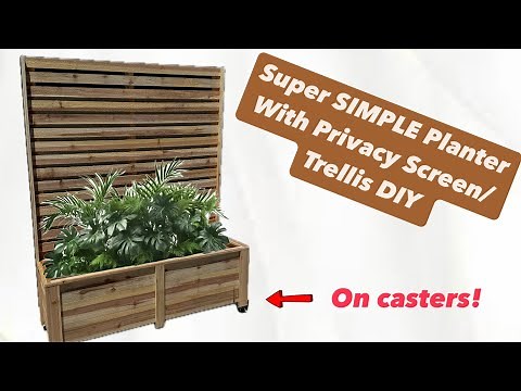 Planter with Trellis/Privacy Screen on Casters DIY | Step by Step Guide