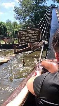 Gold Reef City Log Ride - The Most Insane POV Experience!