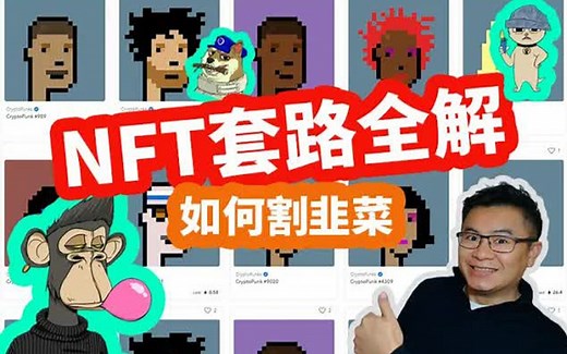 NFT套路全解， 另一种形式的山寨币大爆发， 如何把JPEG炒成天价，NFT中的比特币Cryptopunk， NFT DAO用韭菜钱割韭菜