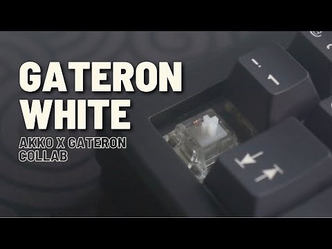 Gateron White | Akko x Gateron Collab Switch | Overview and Sound Test