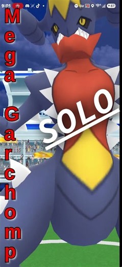 A fire and Ice-SOLO GARCHOMP