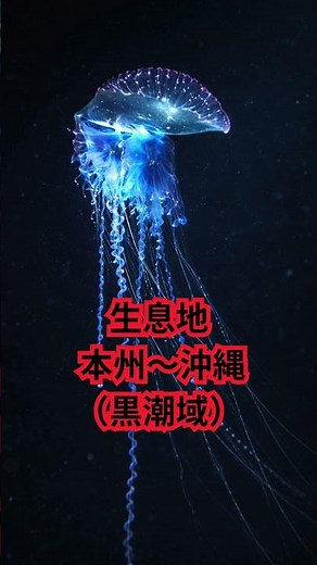 知らずに触ると死ぬ…日本の海の危険生物 #動物雑学 #雑学