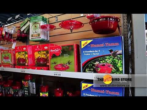 Wild Bird Store