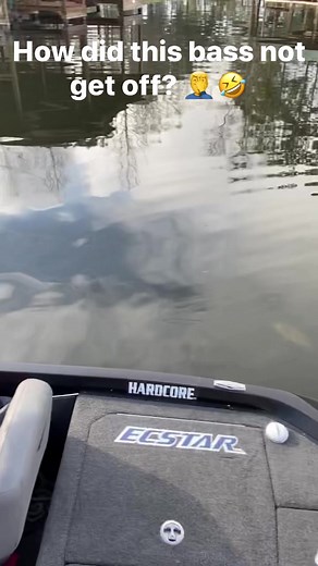 Brandon Card on Reels