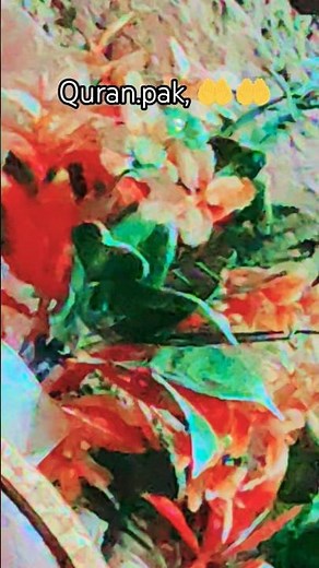 The Rise of Islamic Pop Music: A History