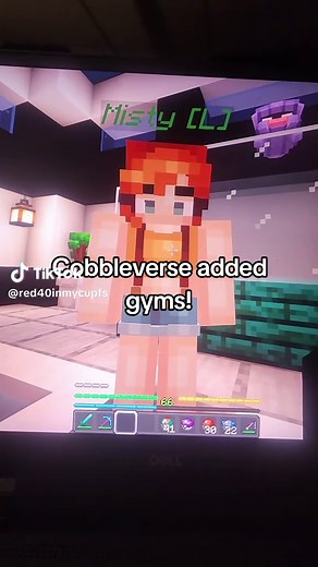 Discover Cobblemon Gyms and Leaders in Cobbleverse