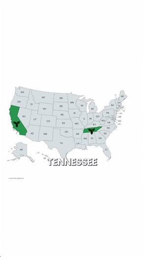 The Mylar Bag Issues We Discovered (And Our Solution)