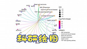 微生信平台-GO，KEGG富集分析结果cnet网络图绘制