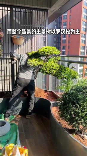 Chinese evergreen community balcony landscaping #plantlandscaping #balcony renovation #