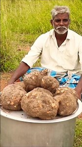 Elephant food Yam Vadai #cooking #shorts