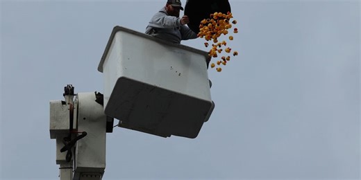 Bowling Green holds second annual Duck Drop fundraiser