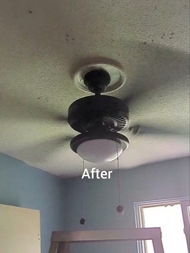 oiling this Hampton Bay Trice ceiling fan #ceilingfan #shorts