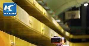 Cane robot ispeziona strutture elettriche Pechino per garantire fornitura estiva