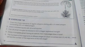 found in nature. Let us see some examples.Fractals in trees: F... | Filo